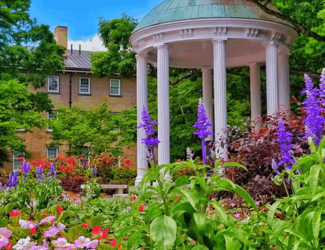 A historic building in Chapel Hill is surrounded by lush greenery and a vibrant garden filled with purple and pink flowers. A white, circular gazebo with a domed roof is nestled among the trees, providing a serene setting reminiscent of the tranquility sought in psychiatry.