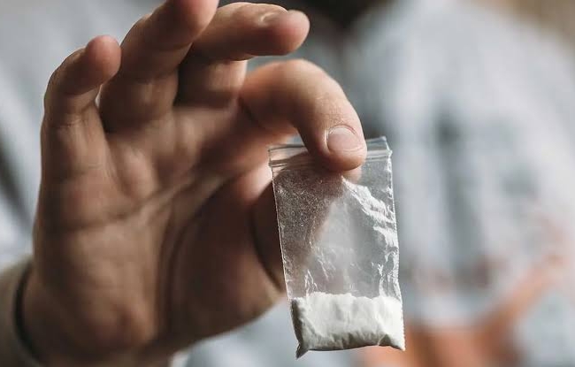 Understanding Cocaine Addiction 